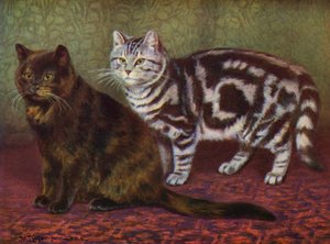 The Tortoiseshell Cat and the Tabby One (färg litho)