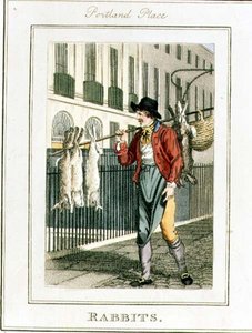 Rabbits, Portland Place, från "Cries of London", pub. av Richard Phillips (1778-1851) 1804 (gravyr)