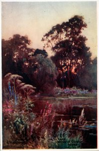 Worcester College Garden av William Matthison