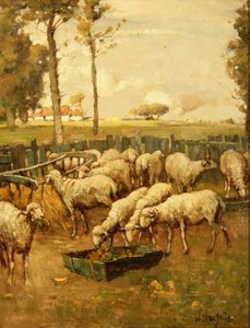 Fårfållan av William McBride