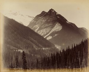 Ross Peak och Loop från No. 19 Snow Shed av William McFarlane Notman