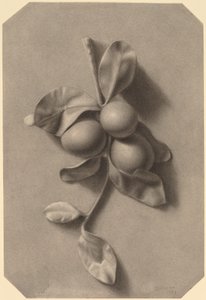 En plommonkvist av William Michael Harnett