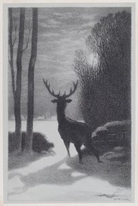 Stag i månskenet