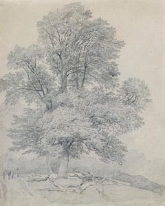 En bergalm i Hawley, Hampshire av William Mulready