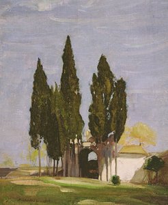 Cypresser, Palatine Hill, Rom