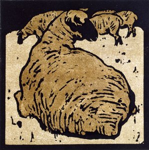 The Simple Sheep, illustration från 