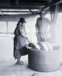 Indian Salmon Cleaner, nära New Westminster, British Columbia (provinsen Kanada)