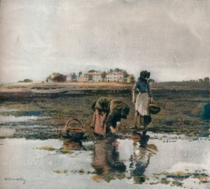 Musselplockning, c1908