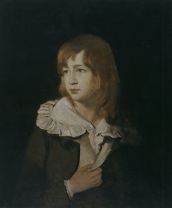 Porträtt av en pojke, John Parry of Garden, ca 1788-89 (olja på duk)