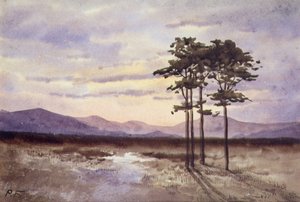 Sunset, County Sligo (akvarell på papper) av William Percy French