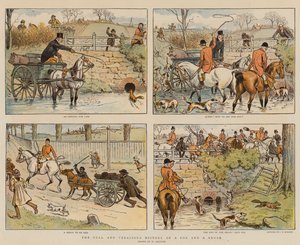 En rävs och en borstes fullständiga och sanningsenliga historia (chromolitho)
