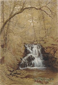 Indian Falls, Indian Brook, Cold Springs, New York, 1850.