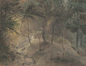 The View from the Springhouse at Echo, c.1808 (akvarell och bläck på vävt papper)