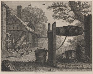 Den gamla hönan och hanen
