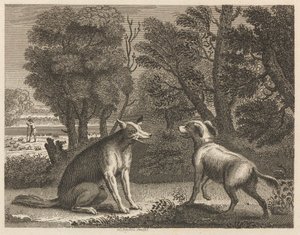 Herdens hund och vargen