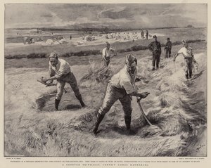 Ett eftertraktad privilegium, fånggängen Haymaking av William Small