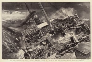 The Perils of the Atlantic, en boskapsångare fångad i en kuling på sin passage från Buenos Ayres till Liverpool