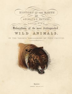 Kalligrafisk titelsida med vinjett av tiger av William Smellie