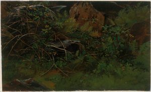 Studie efter naturen av William Stanley Haseltine