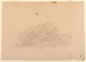 Studie av lövverk av William Stanley Haseltine