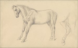 Studier av en ponny av William Strutt