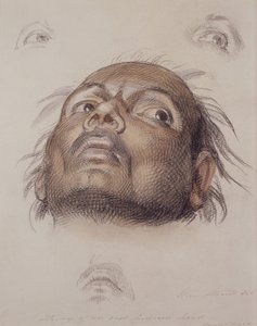 Studie av ett ostindiskt huvud, ca 1875 (krita och tvätt på papper) av William Strutt