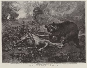 Vilken tur! eller hur jag dödade min björn av William Strutt