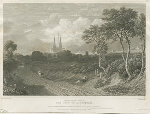 Lichfield Cathedral - West View av William Tombleson