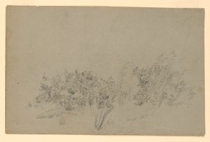 Studie av lövverk av William Trost Richards