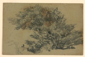Studie av lövverk av William Trost Richards