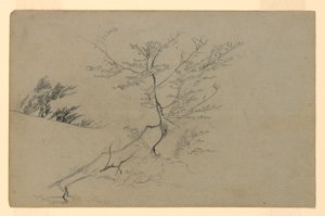 Studie av lövverk av William Trost Richards