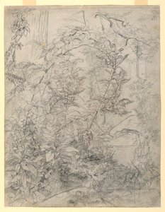 Studie av lövverk av William Trost Richards