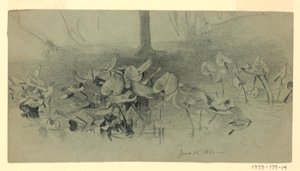 Studie av lövverk av William Trost Richards