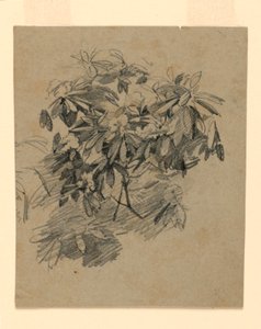 Studie av lövverk av William Trost Richards
