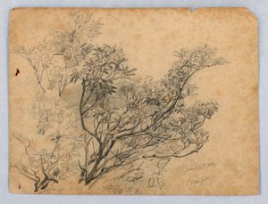 Studie av lövverk av William Trost Richards