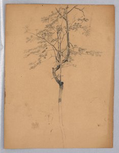 Studie av lövverk av William Trost Richards