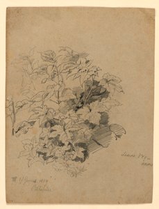 Studie av lövverk av William Trost Richards