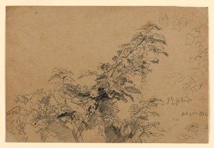 Studie av lövverk av William Trost Richards