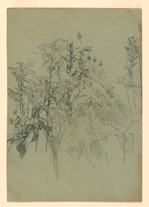 Studie av lövverk av William Trost Richards