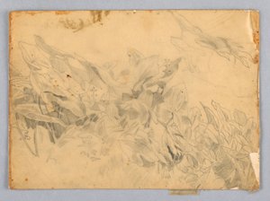 Studie av lövverk av William Trost Richards