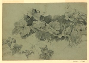 Studie av lövverk av William Trost Richards