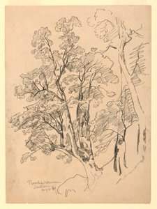 Studie av lövverk, Trachselwald, Bern, Schweiz av William Trost Richards