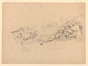 Studie av lövverk, Trachselwald, Bern, Schweiz av William Trost Richards