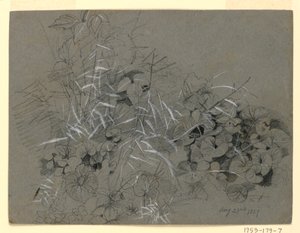 Studie av violblad och gräs av William Trost Richards