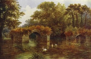 River Avon, Warwick Castle (färg litho)