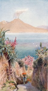 Posillipo. Neapelbukten från (färg litho) av William Wiehe Collins