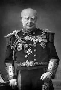 Amiral av flottan Sir Henry Keppel 1809-1904, 1893. av William and Daniel Downey
