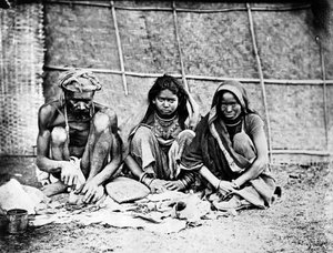 Chai Wallahs, från "Photographs of Indian Subjects" c.1860-talet