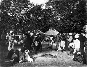 Tigerjakt i Indien, ca 1870-talet