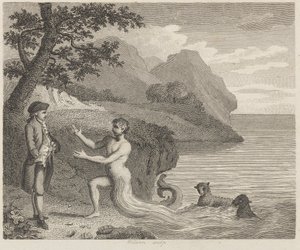 Hovman och Proteus